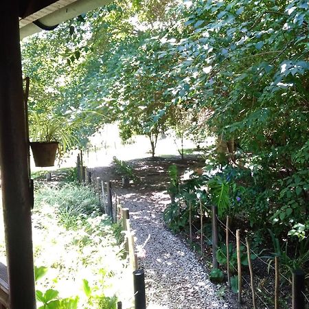 Andelomi Nature'S Rest สตอร์มริเวอร์ ภายนอก รูปภาพ