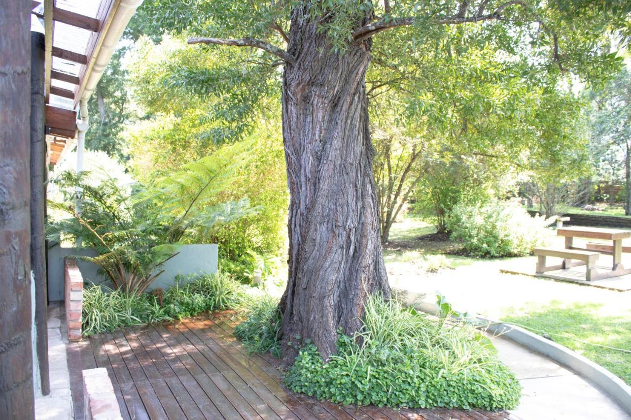 Andelomi Nature'S Rest สตอร์มริเวอร์ ภายนอก รูปภาพ