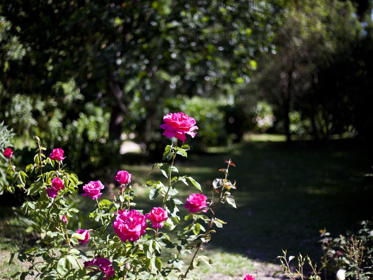Andelomi Nature'S Rest สตอร์มริเวอร์ ภายนอก รูปภาพ