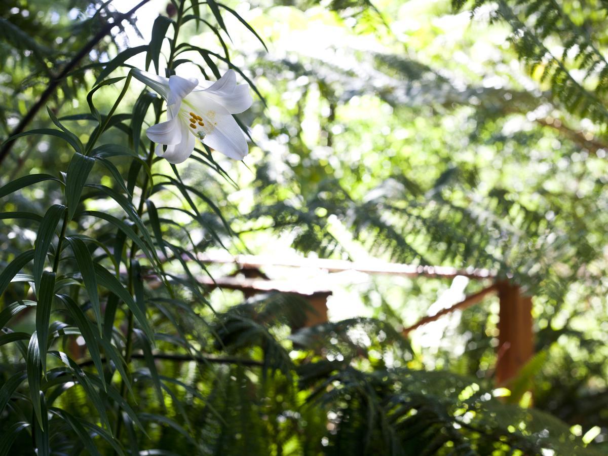 Andelomi Nature'S Rest สตอร์มริเวอร์ ภายนอก รูปภาพ