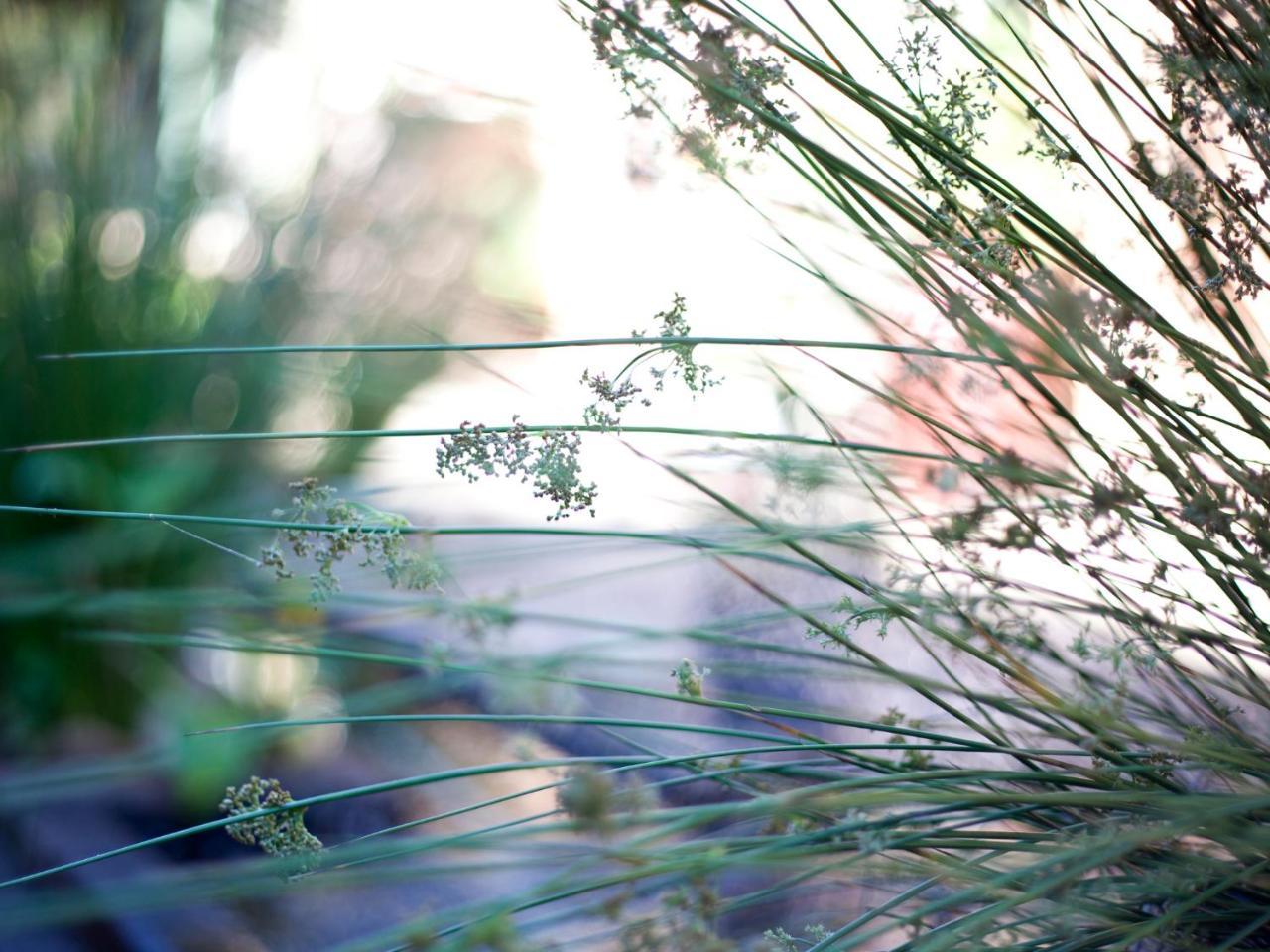 Andelomi Nature'S Rest สตอร์มริเวอร์ ภายนอก รูปภาพ