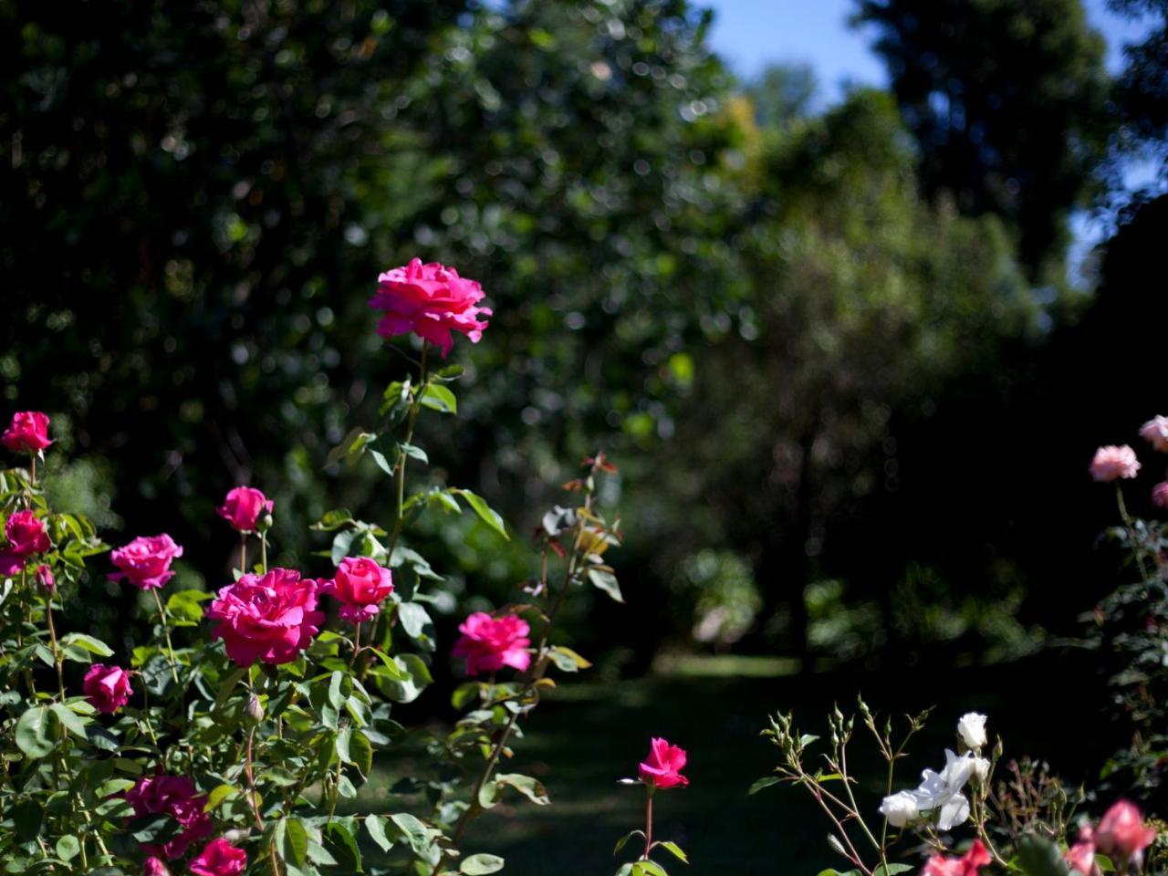 Andelomi Nature'S Rest สตอร์มริเวอร์ ภายนอก รูปภาพ